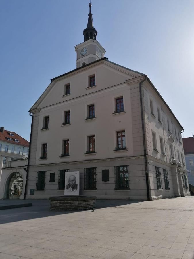 Appartement Apartament Old Town à Gliwice Extérieur photo